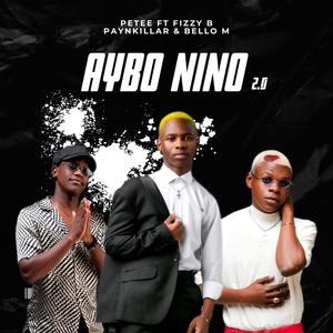 Aybo nino 2.0 (feat. Fizzy B, Payn Killar & Bello M)