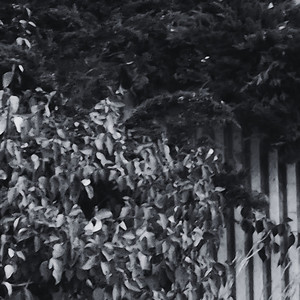 dont get involved (severe sleep deprivation) (Explicit)