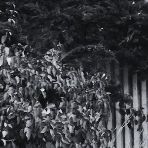 dont get involved (Explicit)