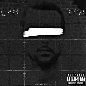 LOST FILES (Explicit)