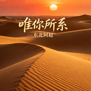 唯你所系 (当当当)