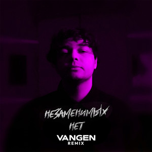 Незаменимых нет (Vangen Remix)