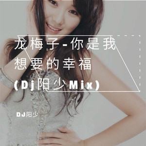 龙梅子-龙梅子-你是我想要的幸福 (DjPrince.阳少FutureBassMix|DJ阳少 remix)封面