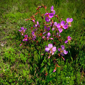 when i call (feat. Derek Atwood)