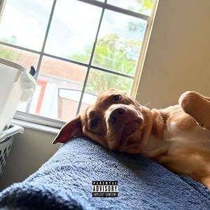 dog with a bone (Explicit)