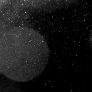 We Share the Same Stars