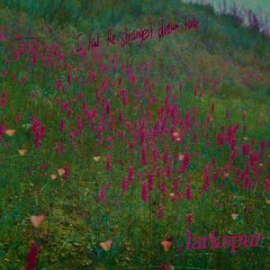 Larkspur (Explicit)