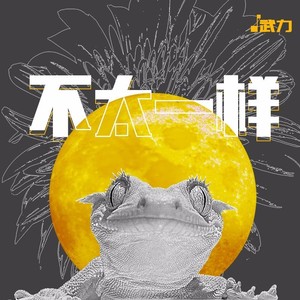 不太一样