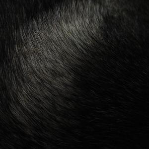 Contrario (feat. Passi.floras) (Bucle) (Explicit)