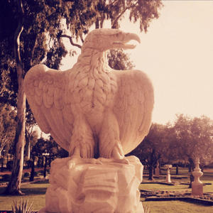 Royal Falcon(feat. Rosie & the Riveters)