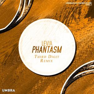 Phantasm (feat. Levia) (Third Digit Remix)