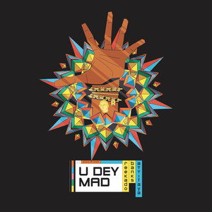 Reekado Banks - You Dey Mad (Explicit)
