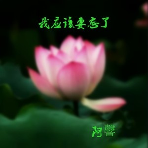 我应该要忘了 (新版伴奏)