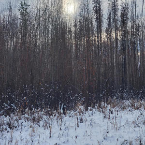 Prospect Pt. 1 (feat. Solo & Mister Man) (Explicit)