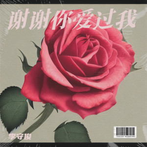 谢谢你 爱过我 (DJ豪大大版)