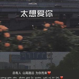 忘川彼岸 (电音版)