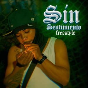 Sin Sentimiento Freestyle (Explicit)