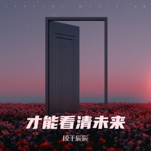 眼泪决定封面