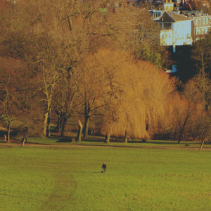 사소한 일 (a little thing)