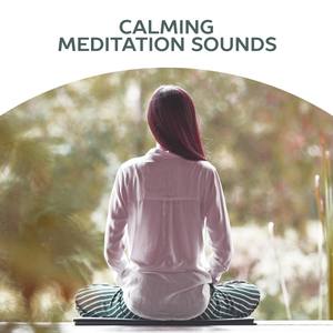 Calming Meditation Sounds – Meditation Calmness, Stress Free, Peaceful Spirit, Inner Harmony, New Ag