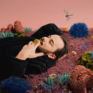 Красный свет