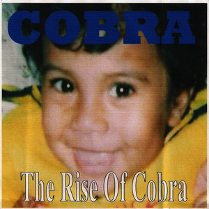 The Rise of Cobra