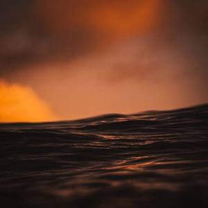 Welcome to Ancient primeval forest 2nd version