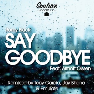 Say Goodbye(feat. Arrnott Olssen) (Emulate Remix)