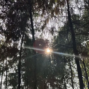 把世界调成静音独听我们心跳声