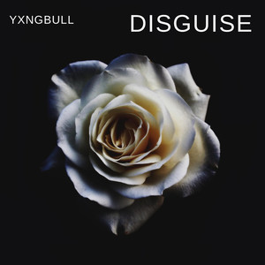 Disguise (Explicit)