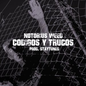 Codigos y Trucos (Explicit)