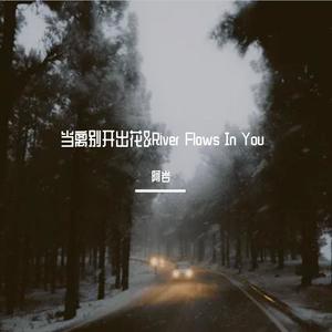 阿岩 - 当离别开出花&River Flows In You (阿岩Mix)