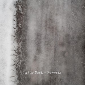 In the Dark - Reworks