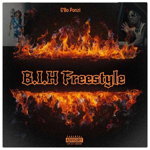 B.I.H Freestyle (Explicit)