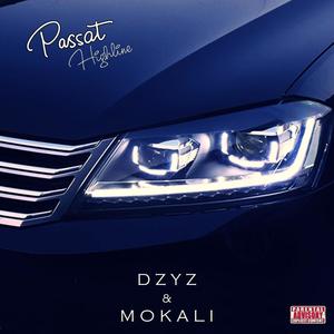 Passat Highline (feat. DZYZ)