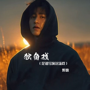 独角戏 (是谁导演这场戏)