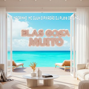 ELAS GOSTA MUITO (Explicit)