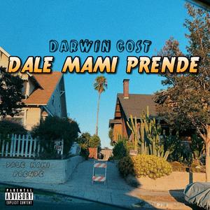 DALE MAMI PRENDE (Explicit)