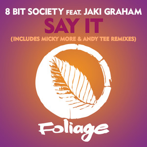 Say It (Micky More & Andy Tee Vocal Mix)