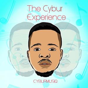 The Cybur Experience