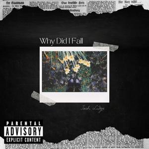 Why Did I Fall (Explicit)