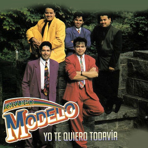 Yo Te Quiero Todavía