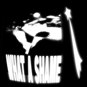 what a shame (Explicit)