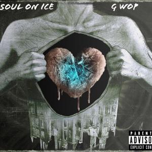 Soul On Ice (Explicit)