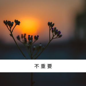 不再联系 (DJ版)