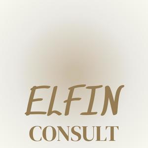 Elfin Consult