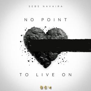 No Point To Live On