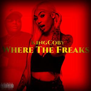 Where The Freaks (Freaky Girl) (feat. 1AMBABYJOKER) [Explicit]