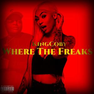 Where The Freaks (Freaky Girl) (feat. 1AMBABYJOKER) (Explicit)