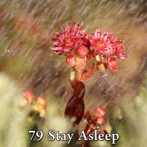 79 Stay Asleep